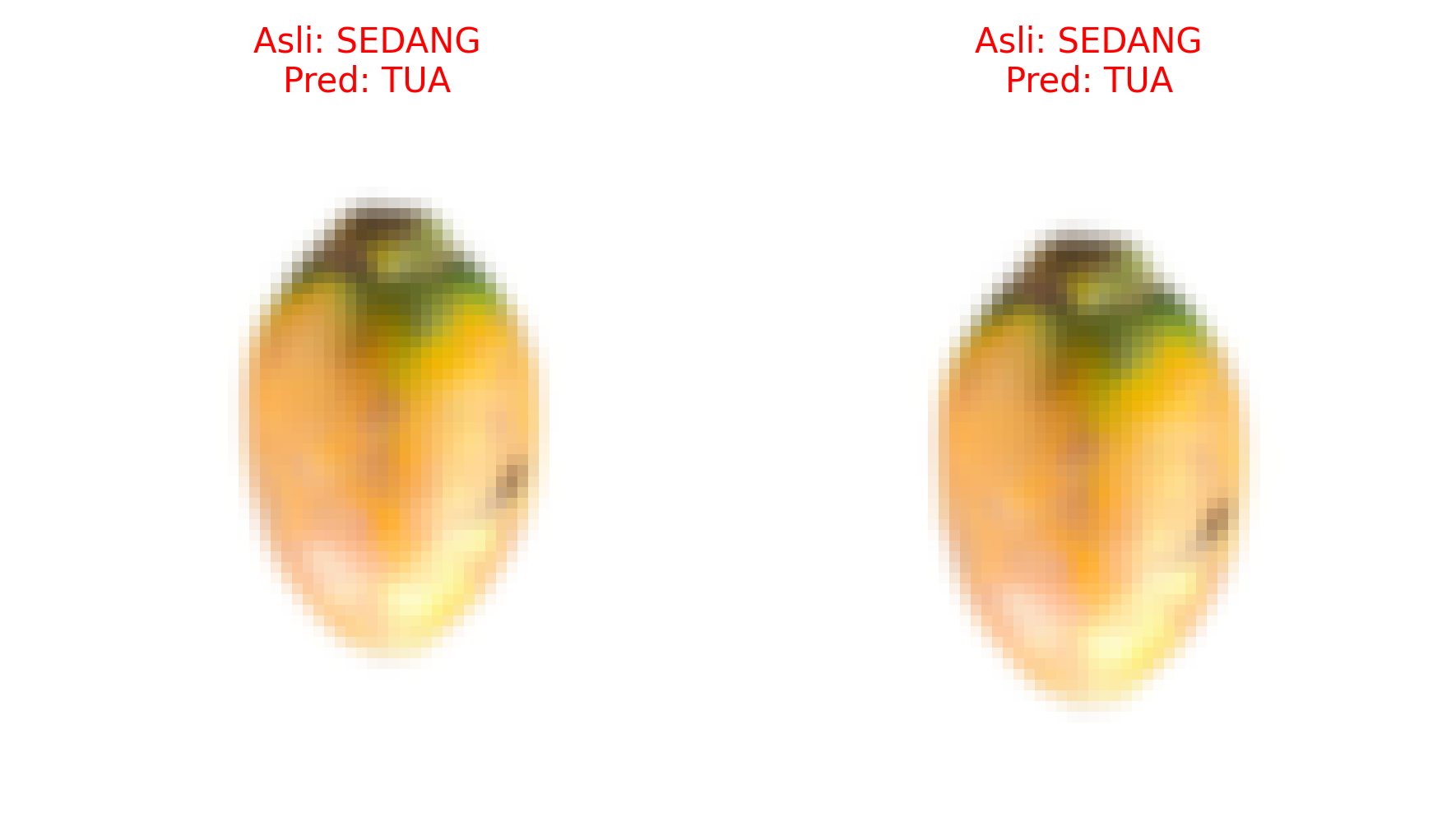 Citra yang Salah Diklasifikasikan